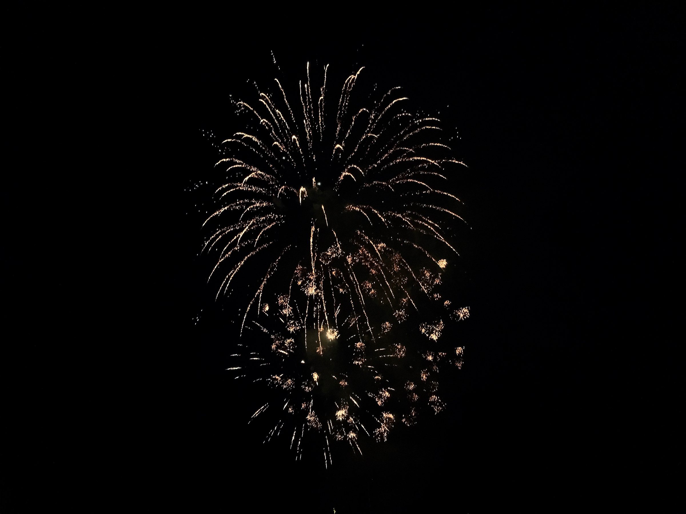 IMG_7532.jpg