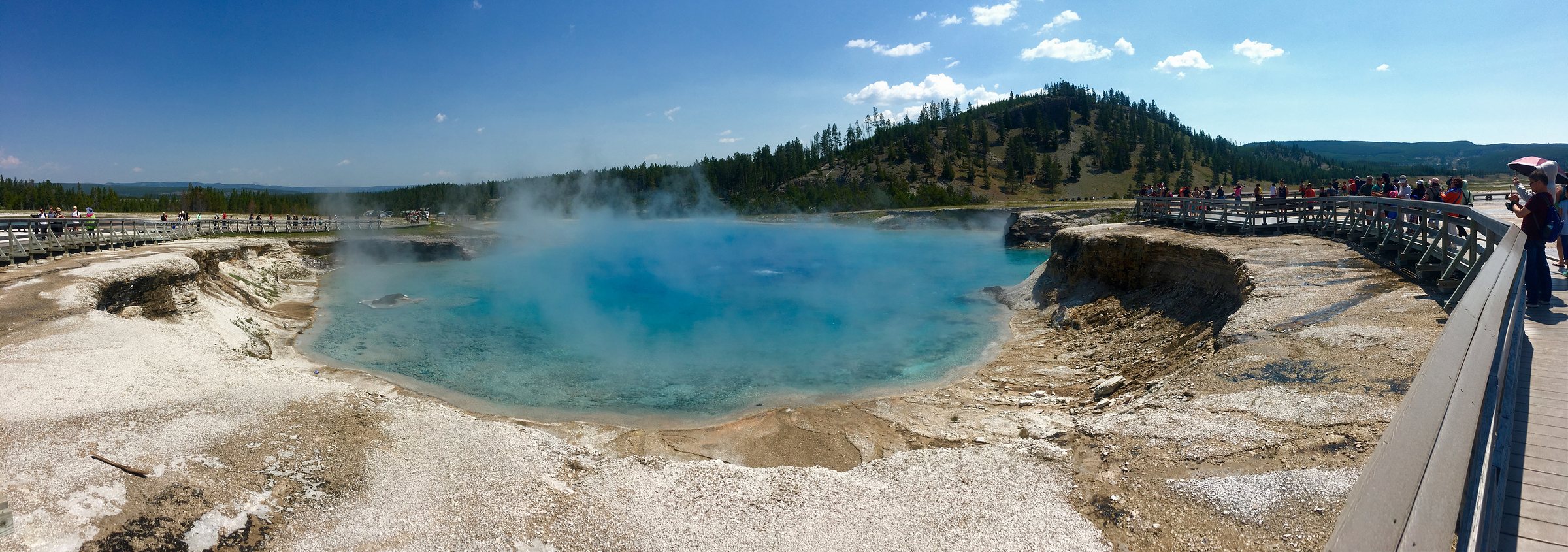 IMG_7739.jpg