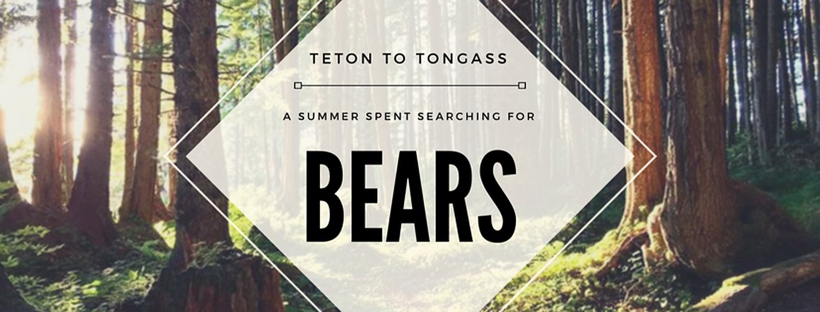 Teton to Tongass: How I Spent a Summer Searching for Bears 