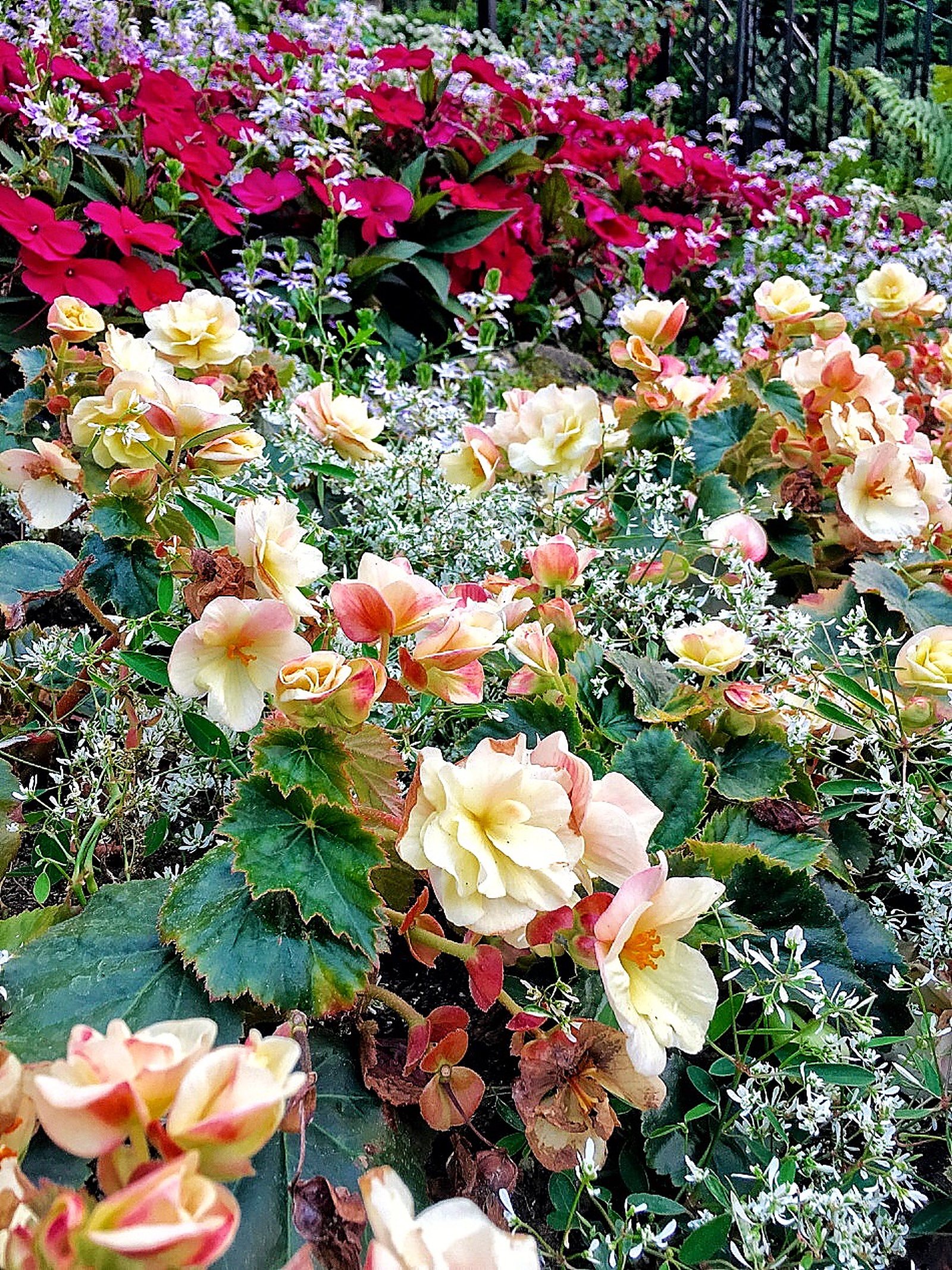 Butchart Gardens Victoria, things to see in Victoria British Columbia, what to do in British Columbia, sightseeing in Victoria British Columbia
