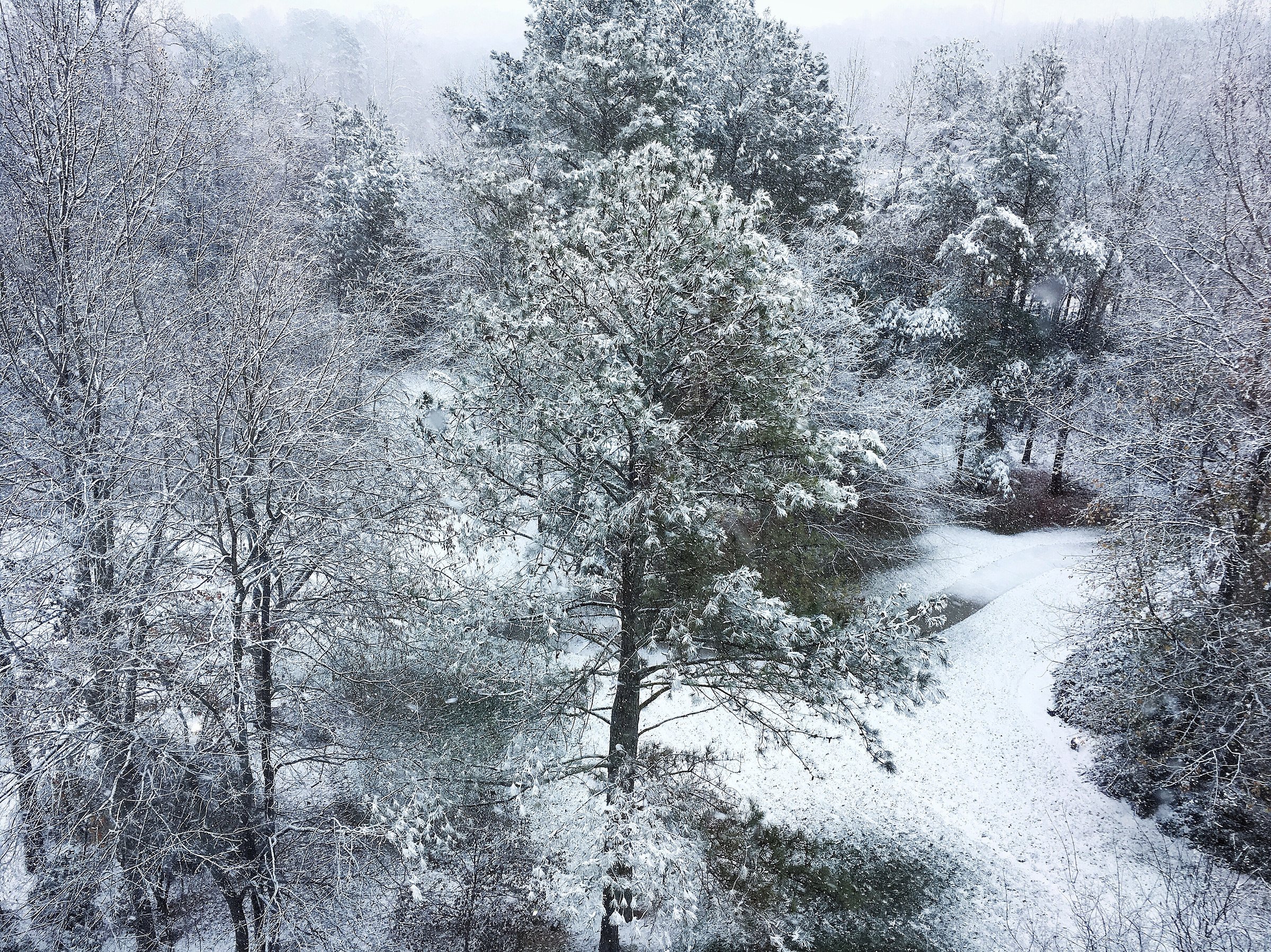 How to Warm Up in a Winter Storm with Hot Cocoa, photo 4