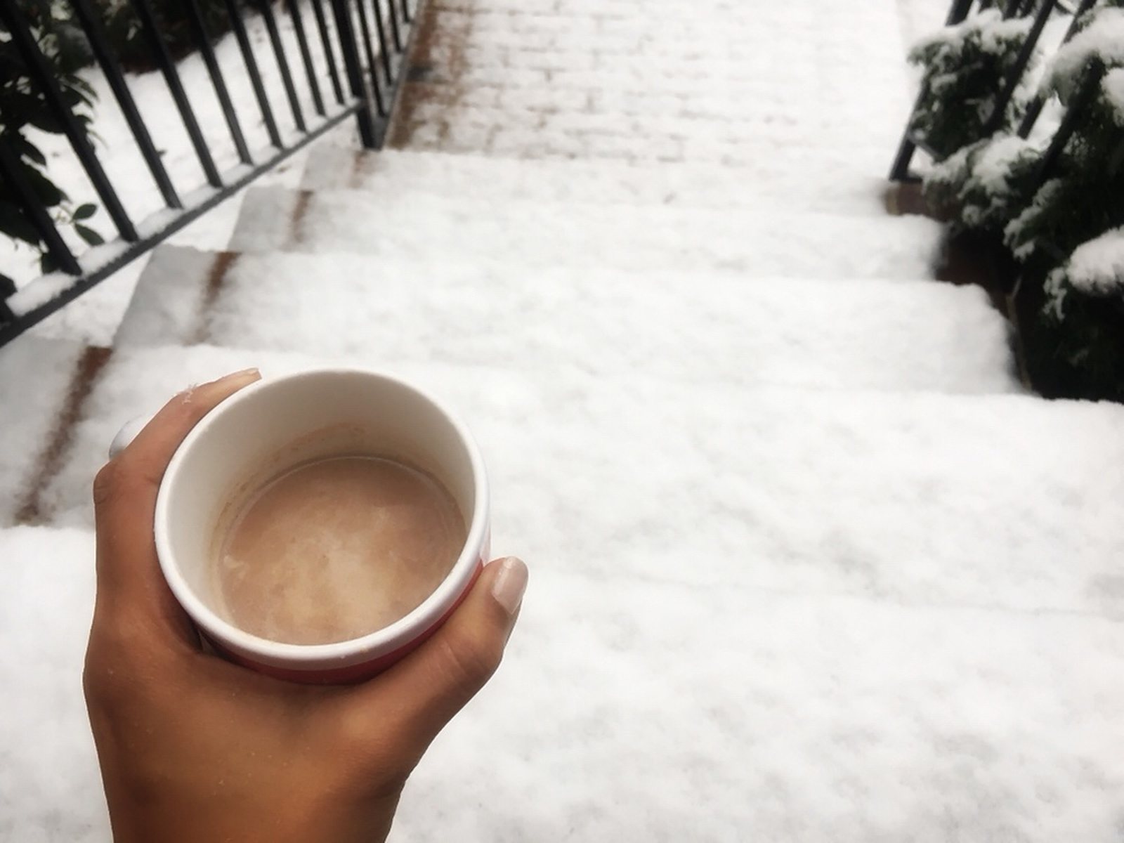 How to Warm Up in a Winter Storm with Hot Cocoa, photo 11