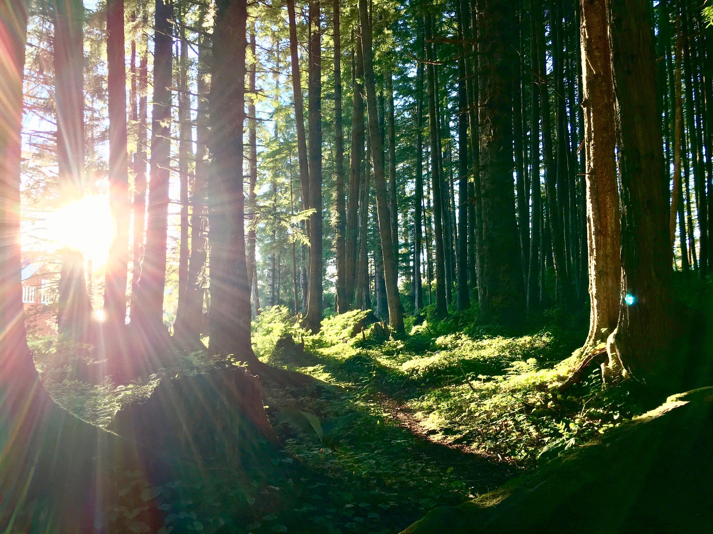 A Beginner's Guide to Alaska: America's Last Frontier, photo 13