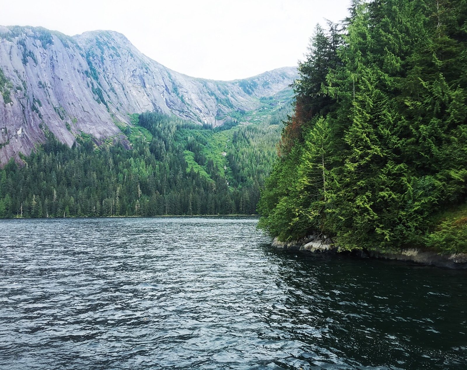 A Beginner's Guide to Alaska: America's Last Frontier, photo 15