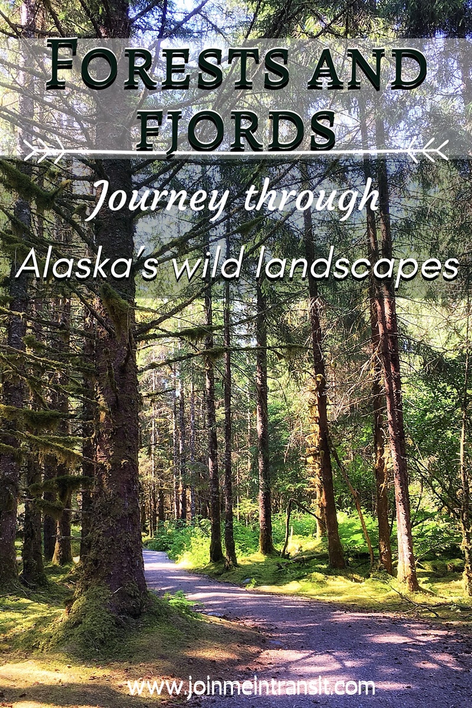 A Beginner's Guide to Alaska: America's Last Frontier, photo 10