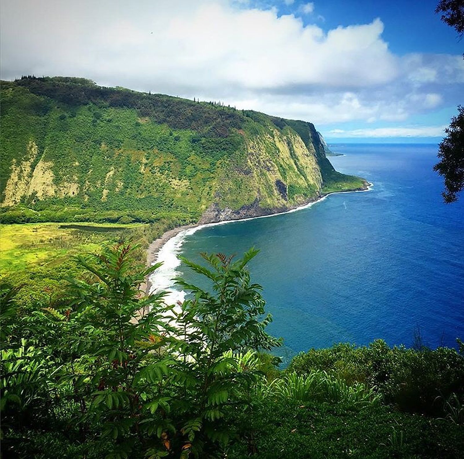 Waipio Valley in Hawaii, Big Island of Hawaii things to do, ultimate guide to Big Island Hawaii, what to see in Big Island, Hawaiian island itineraries, guide to Big Island Hawaii, five-day Big Island itinerary, five-day guide to Big Island Hawaii, volcanoes park in hawaii, Waipio Valley viewpoint, most scenic views in Big Island Hawaii, best scenic viewpoints in Big Island Hawaii, scenic trails Big Island Hawaii