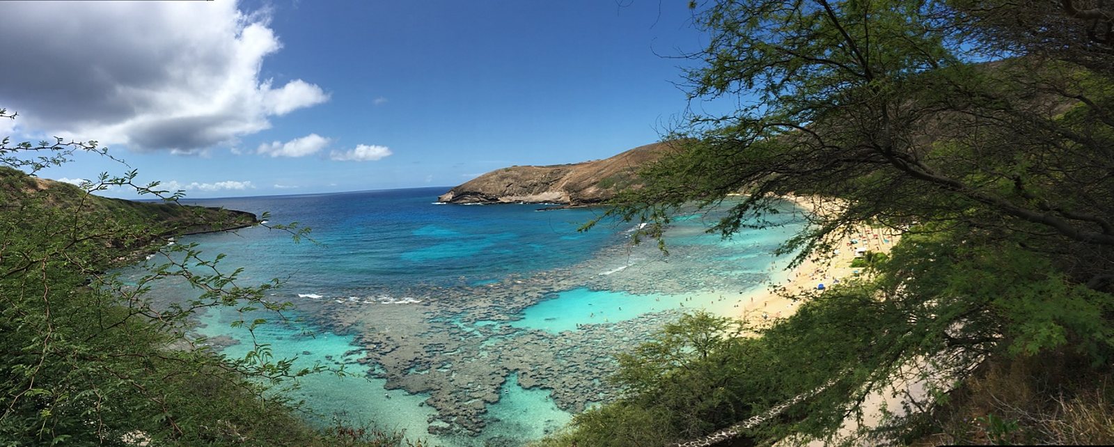 Island Hopper's Ultimate Guide to Oahu: The Gathering Place