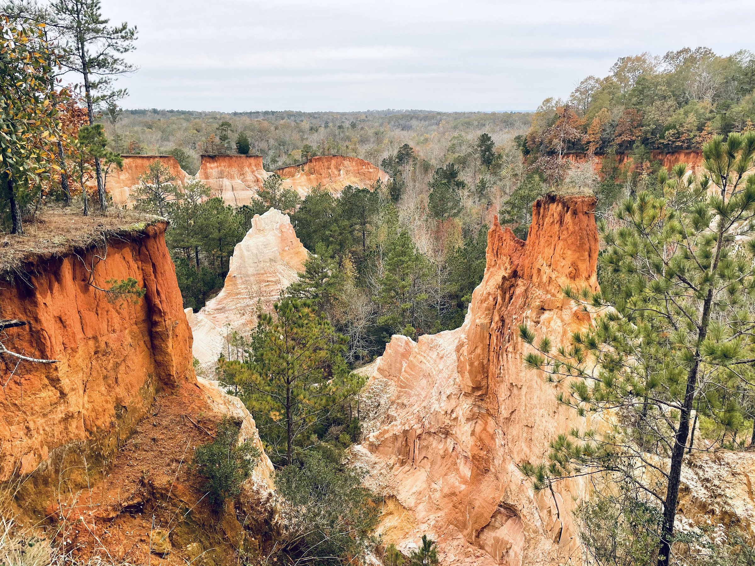 Ultimate Guide to Day Trips & Weekend Getaways from Atlanta - For Every Season, photo 20