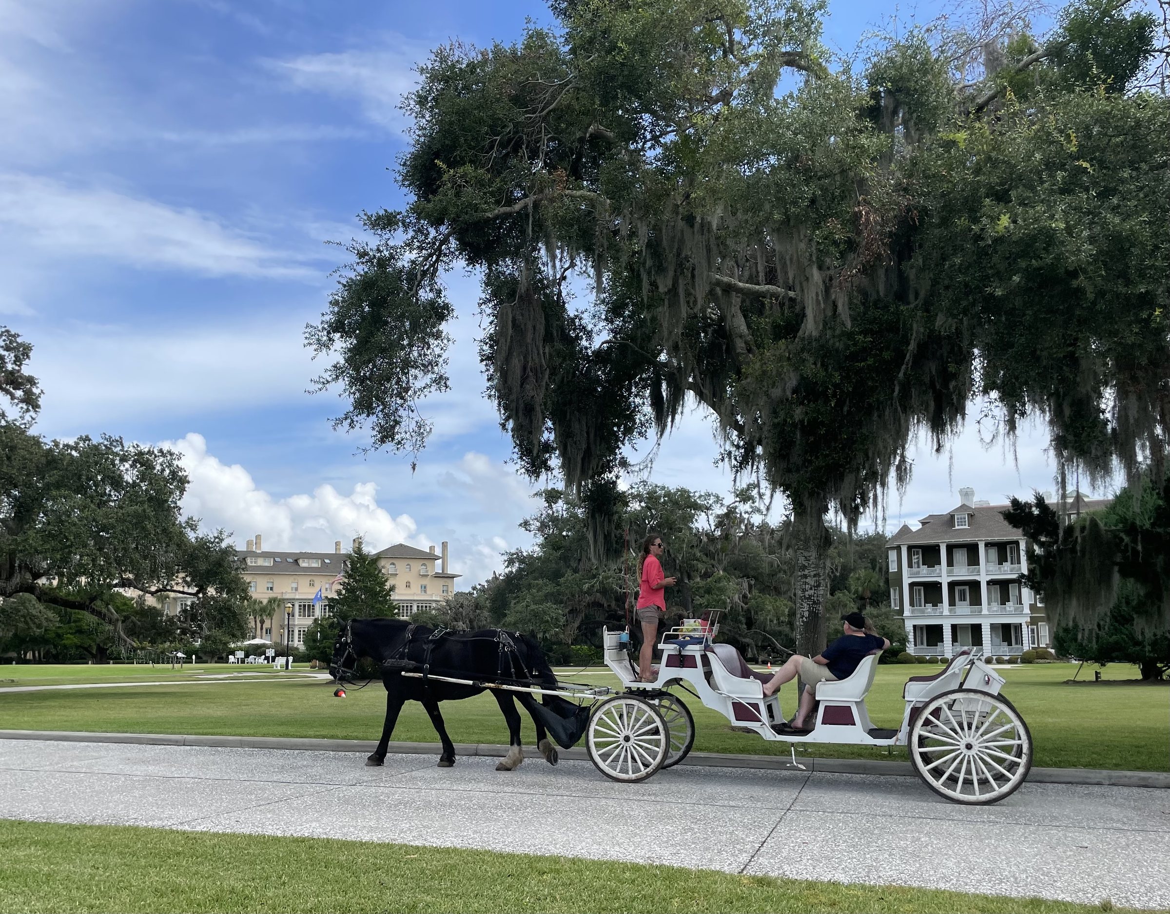 Ecotourism Meets Luxury at Jekyll Island - A Pristine Retreat From Atlanta, photo 3
