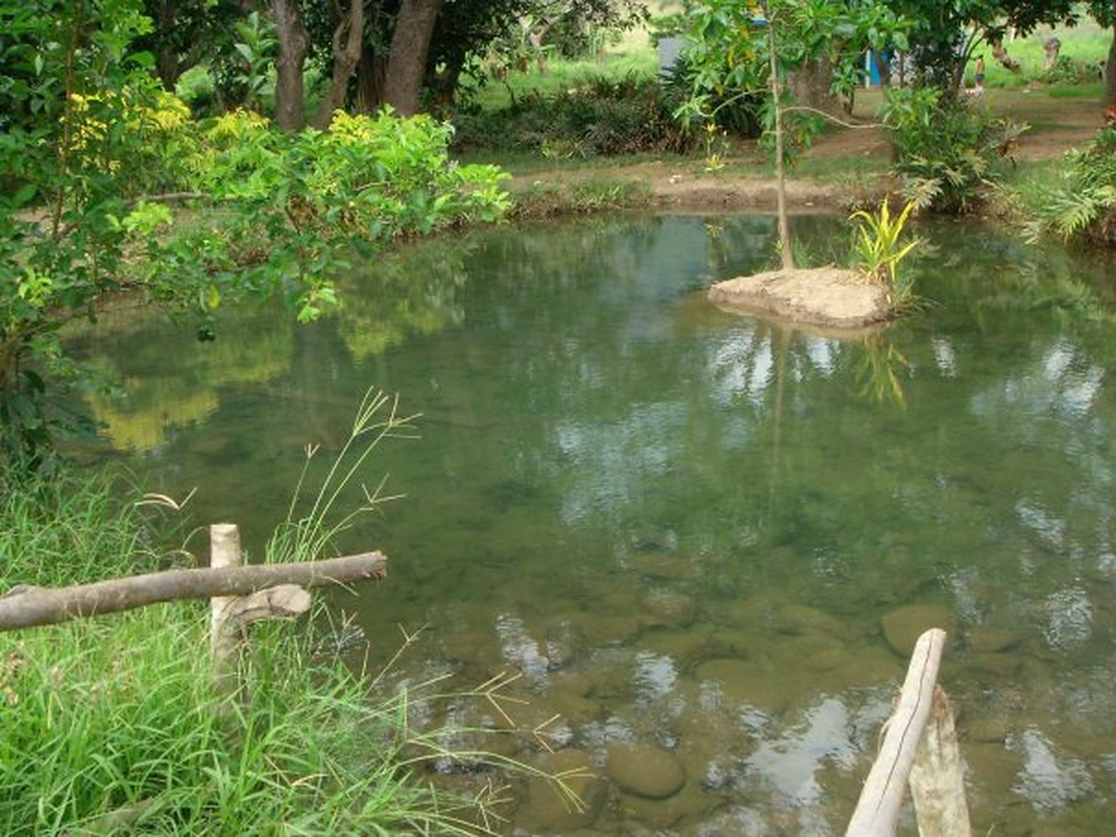 things to do in Fiji, must see attractions in Fiji, sightseeing in Fiji, where to go in Fiji, Fiji destination guide, Fiji travel guide, guide to visiting Fiji, Fiji itinerary, one-week in Fiji, Fiji mud pools