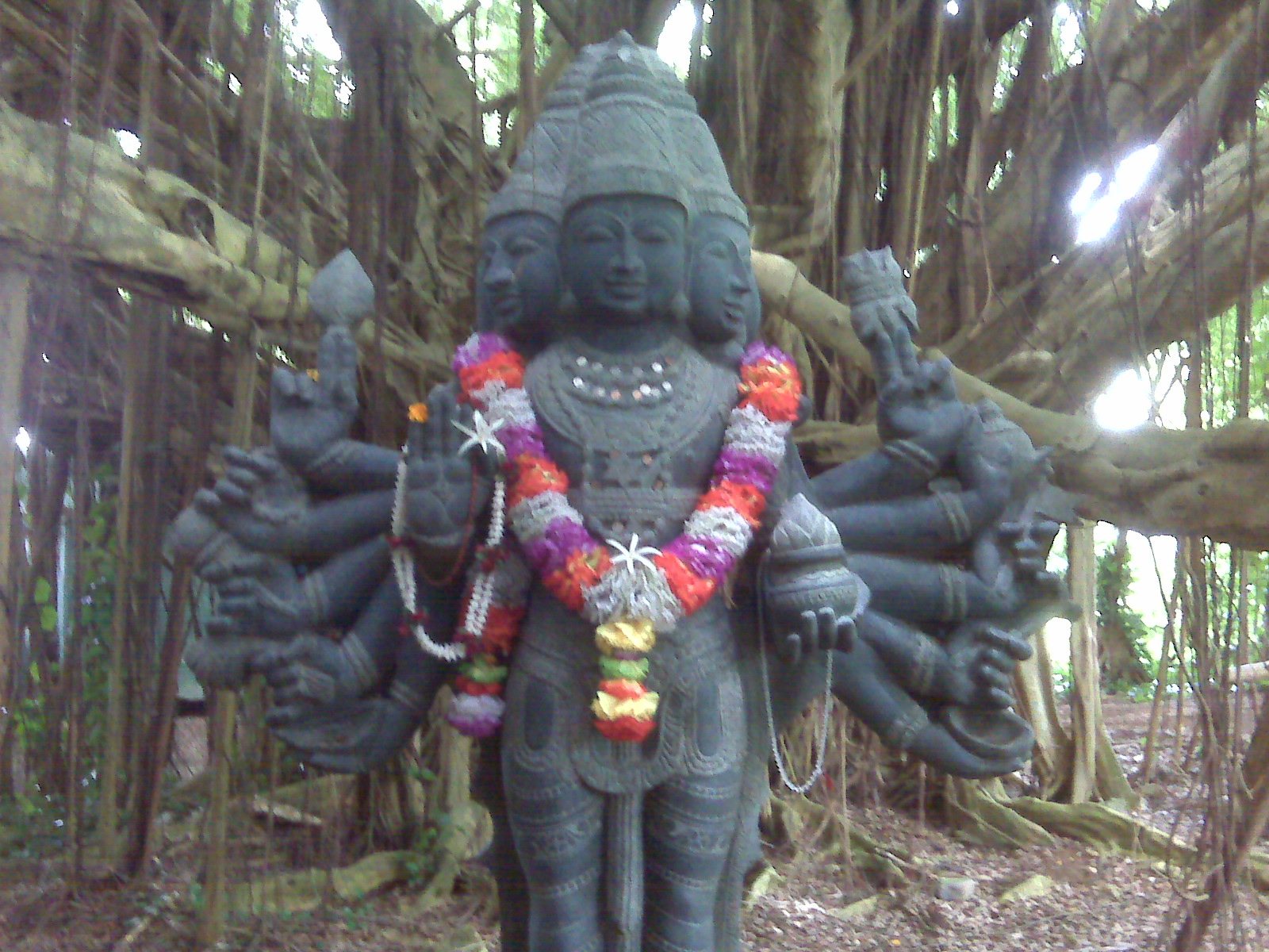 IMG00276 IMG00276