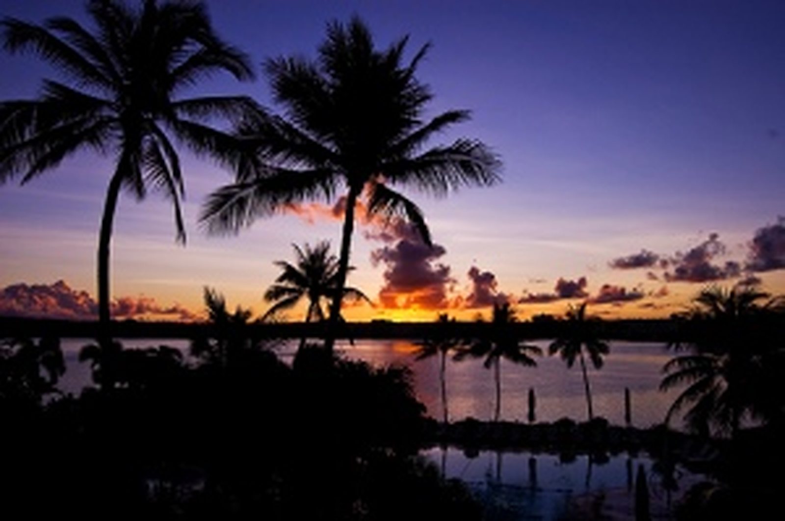 sunset'