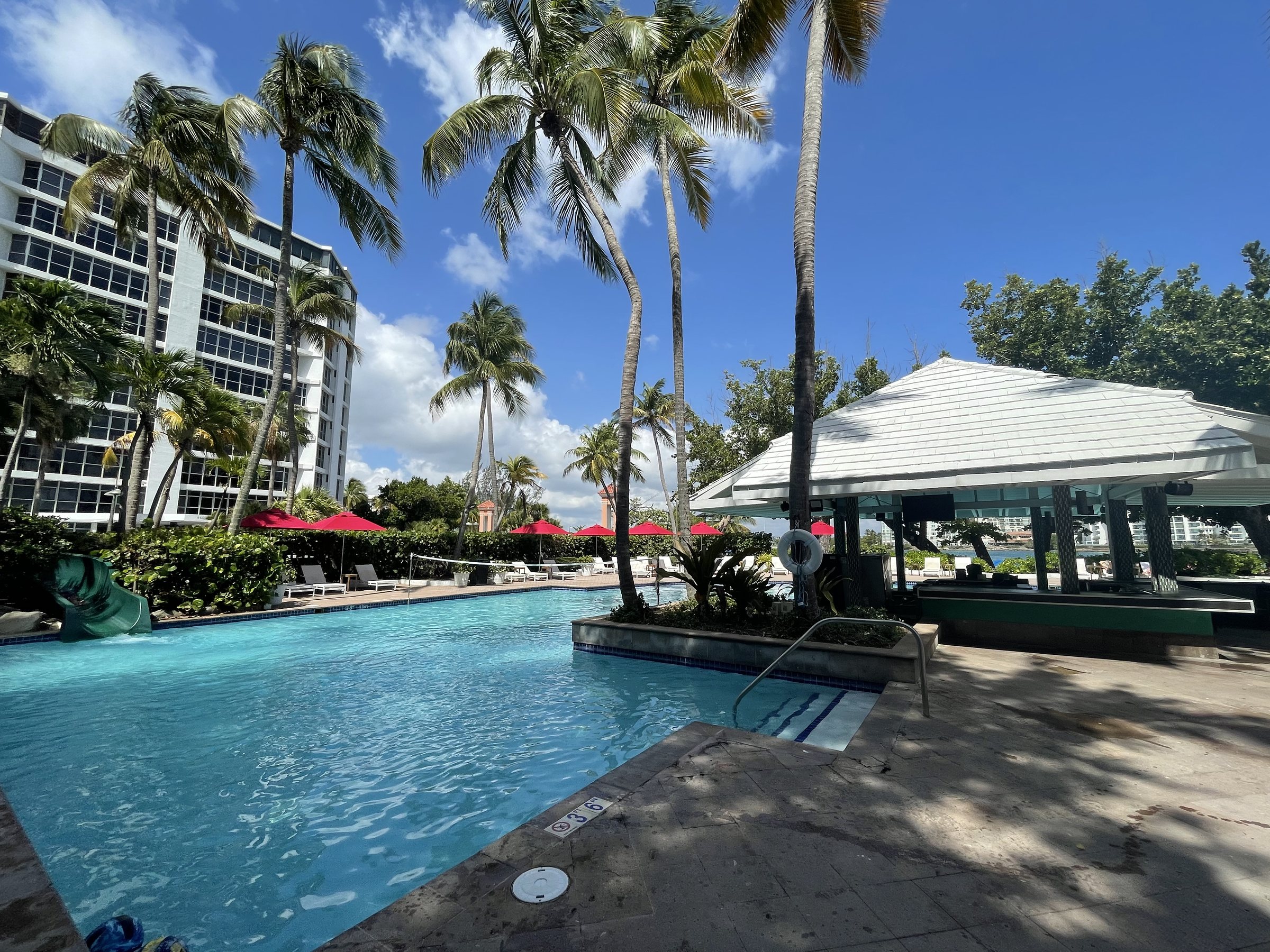 condado hilton puerto rico poolside