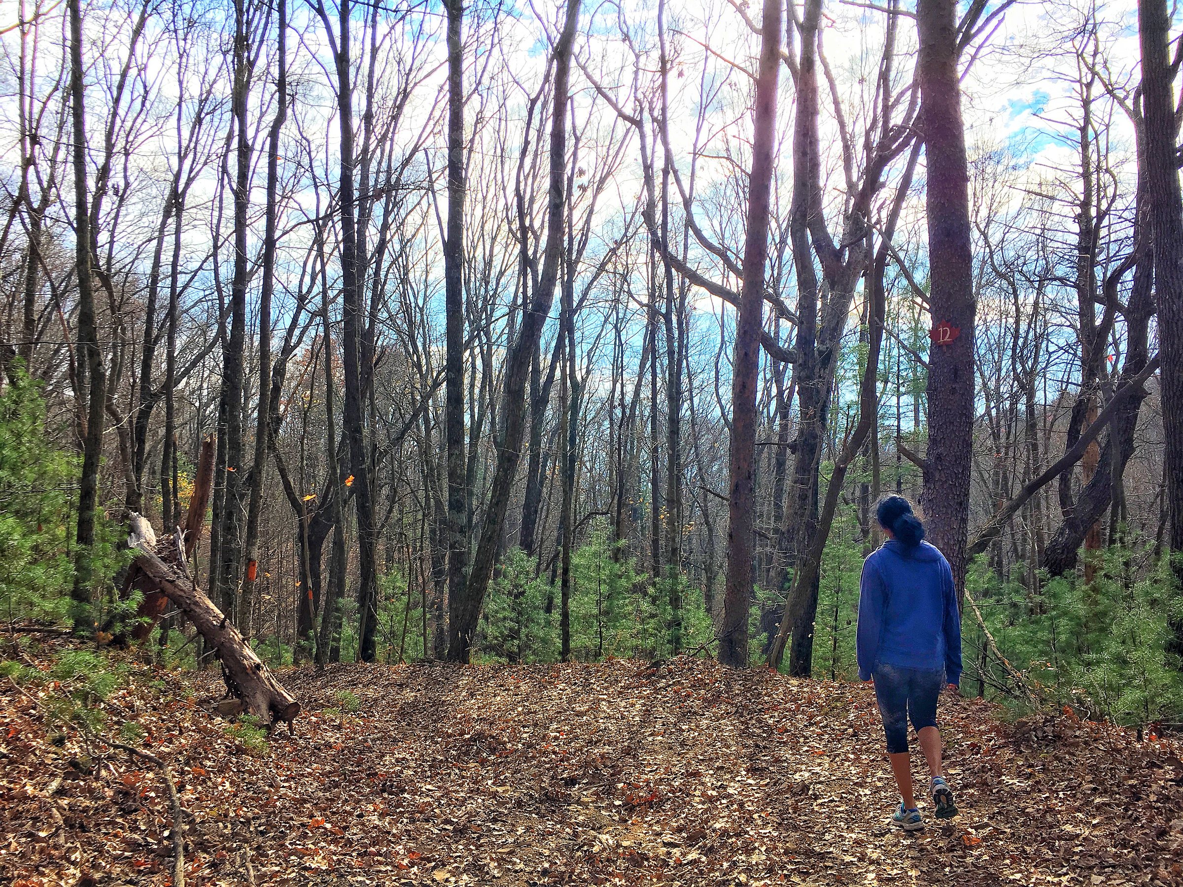 Fort Mountain: Discover Georgia's Best Fall Colors Destination, photo 4