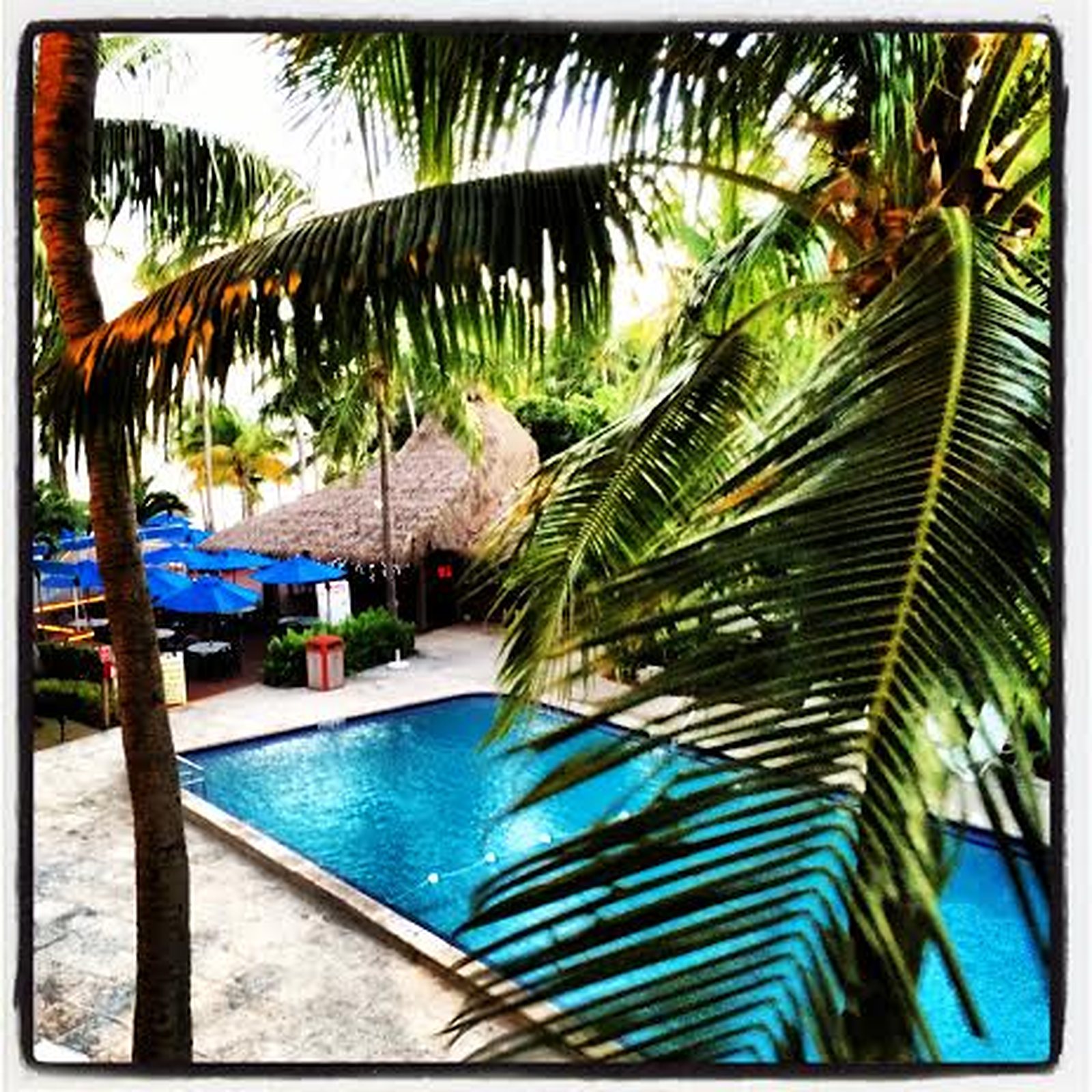 View from the balcony of our suite at Islamorada