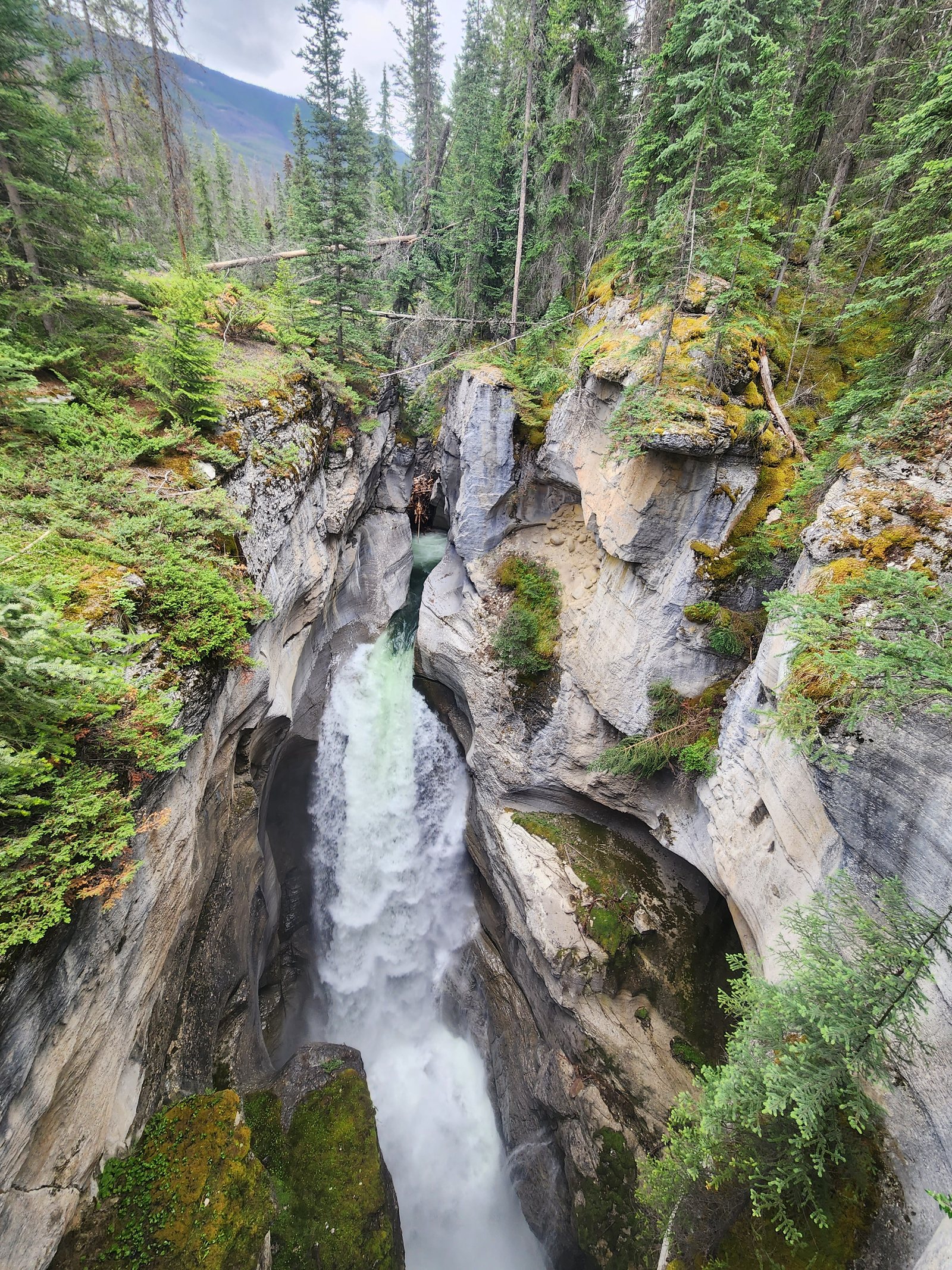 The Most Remarkable Experiences in Banff and Jasper National Parks, photo 5