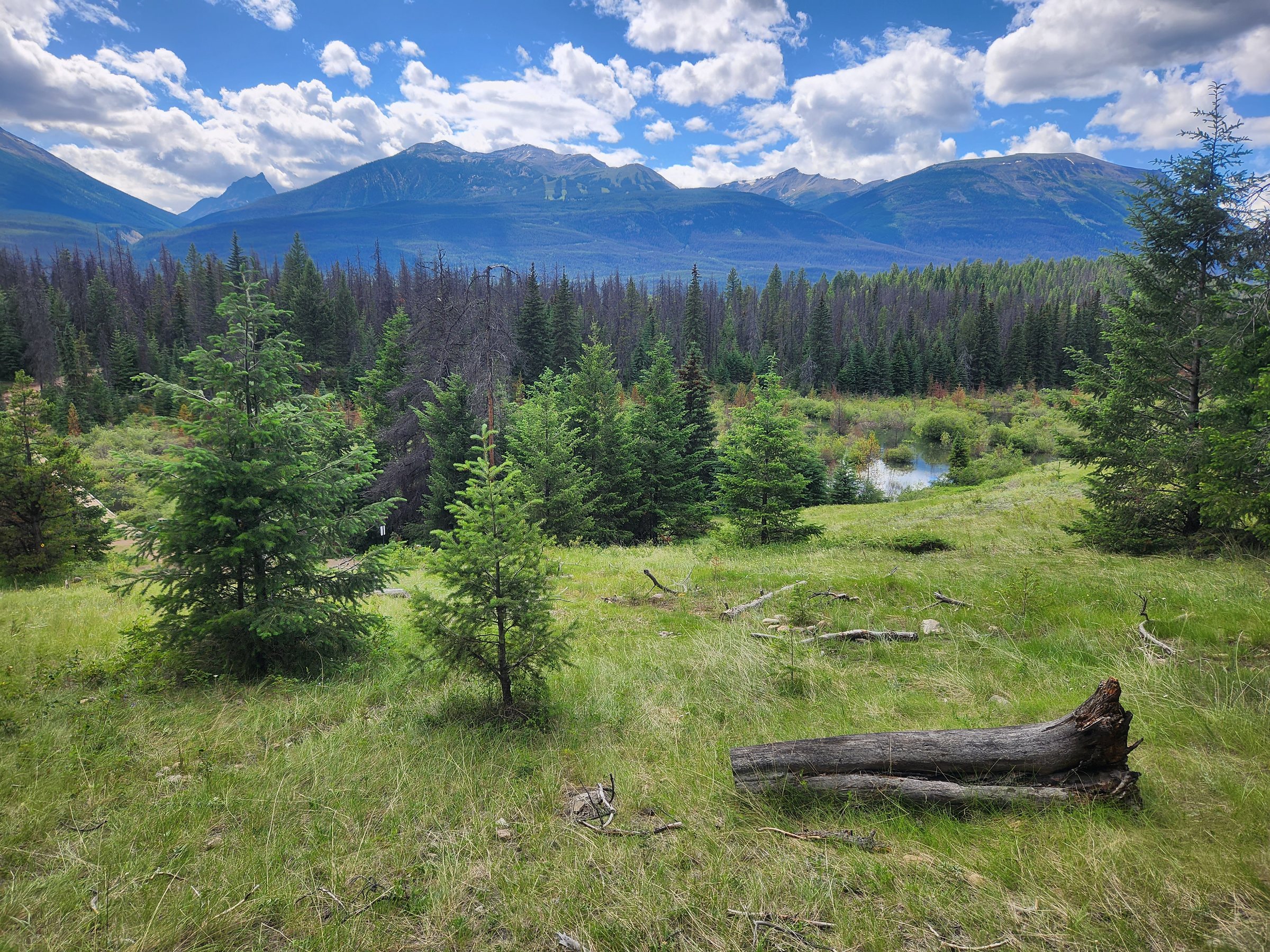 The Most Remarkable Experiences in Banff and Jasper National Parks, photo 3