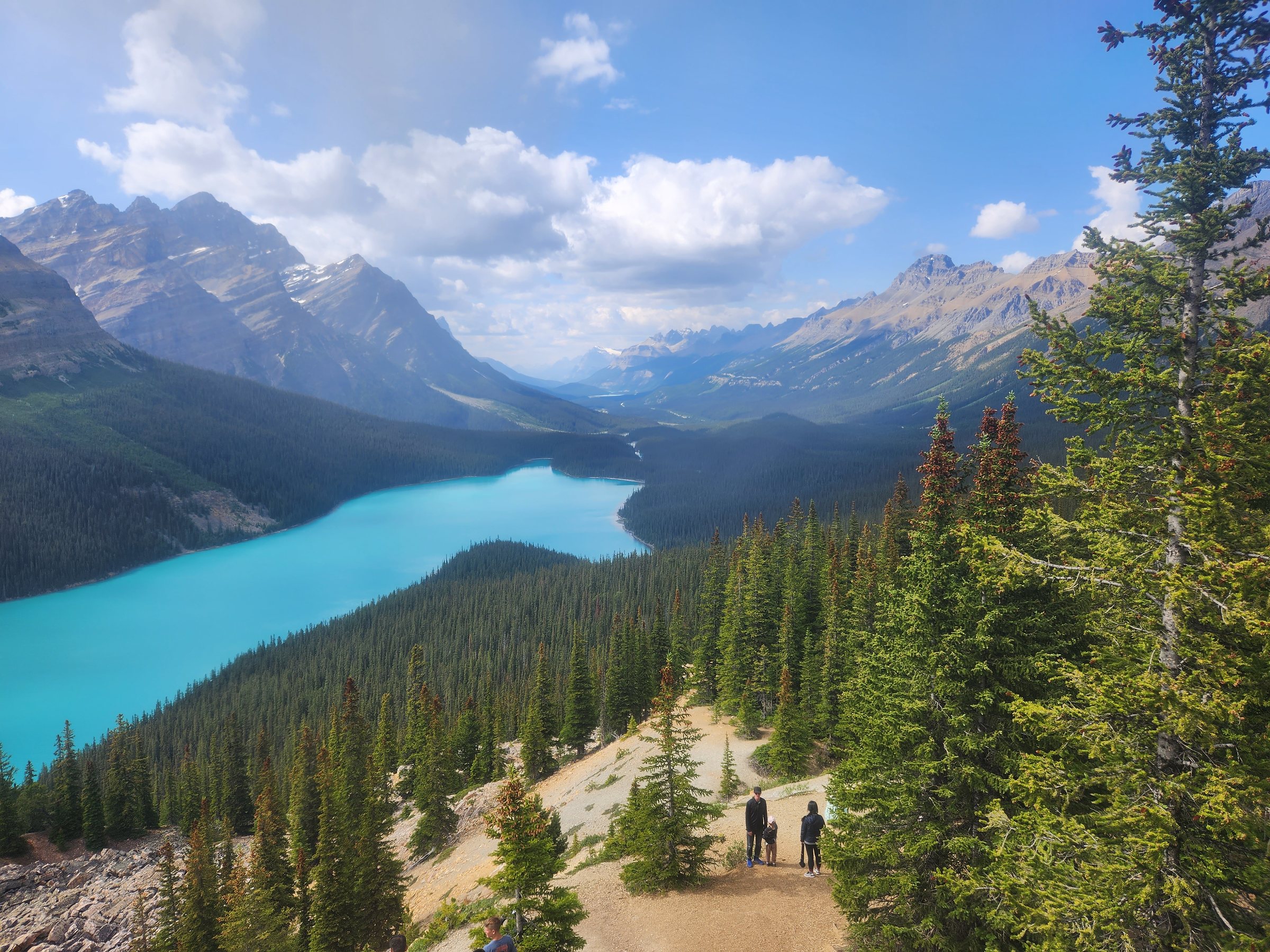 Banff Peyto Lake Canada
