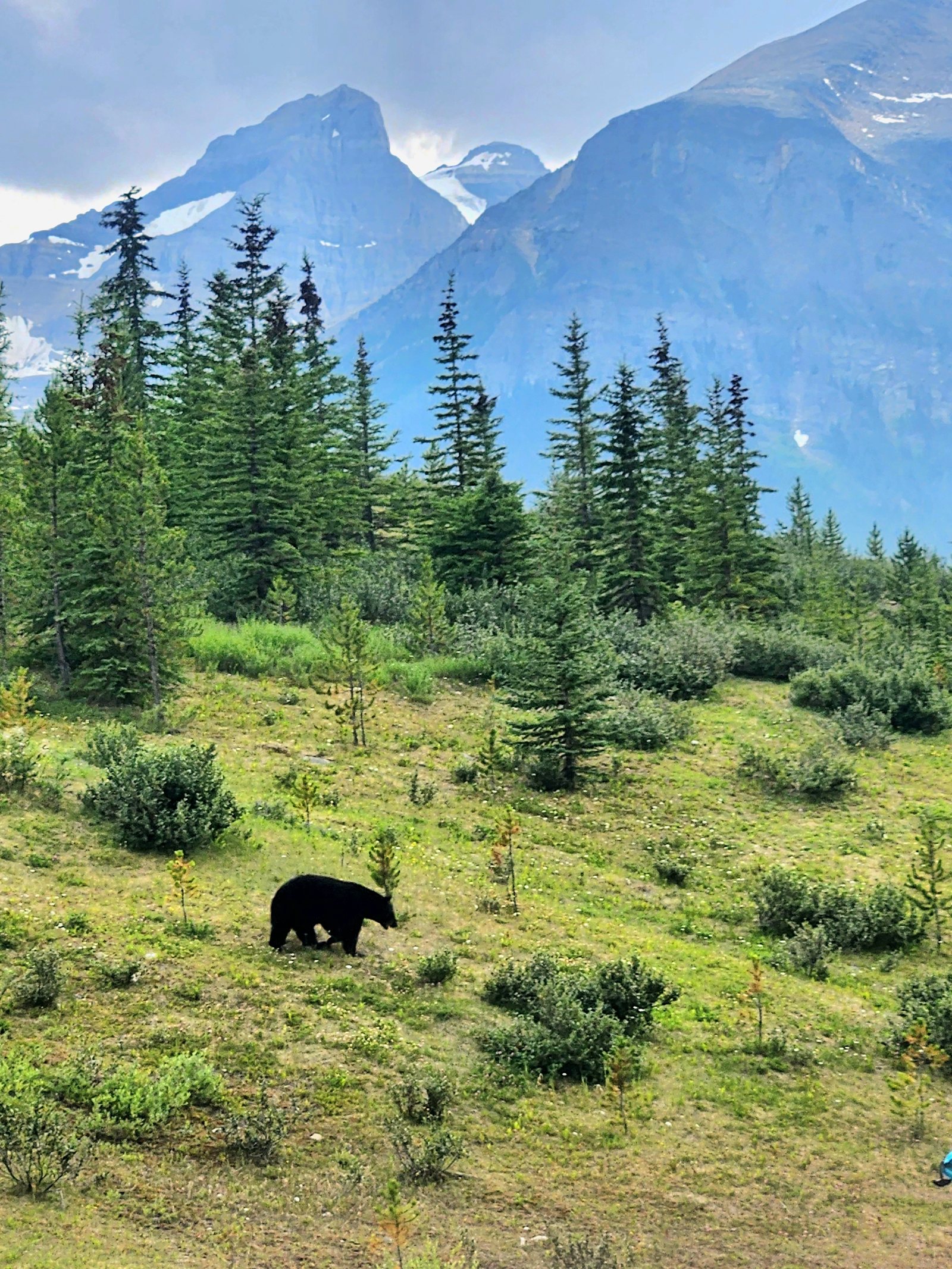 The Most Remarkable Experiences in Banff and Jasper National Parks, photo 1