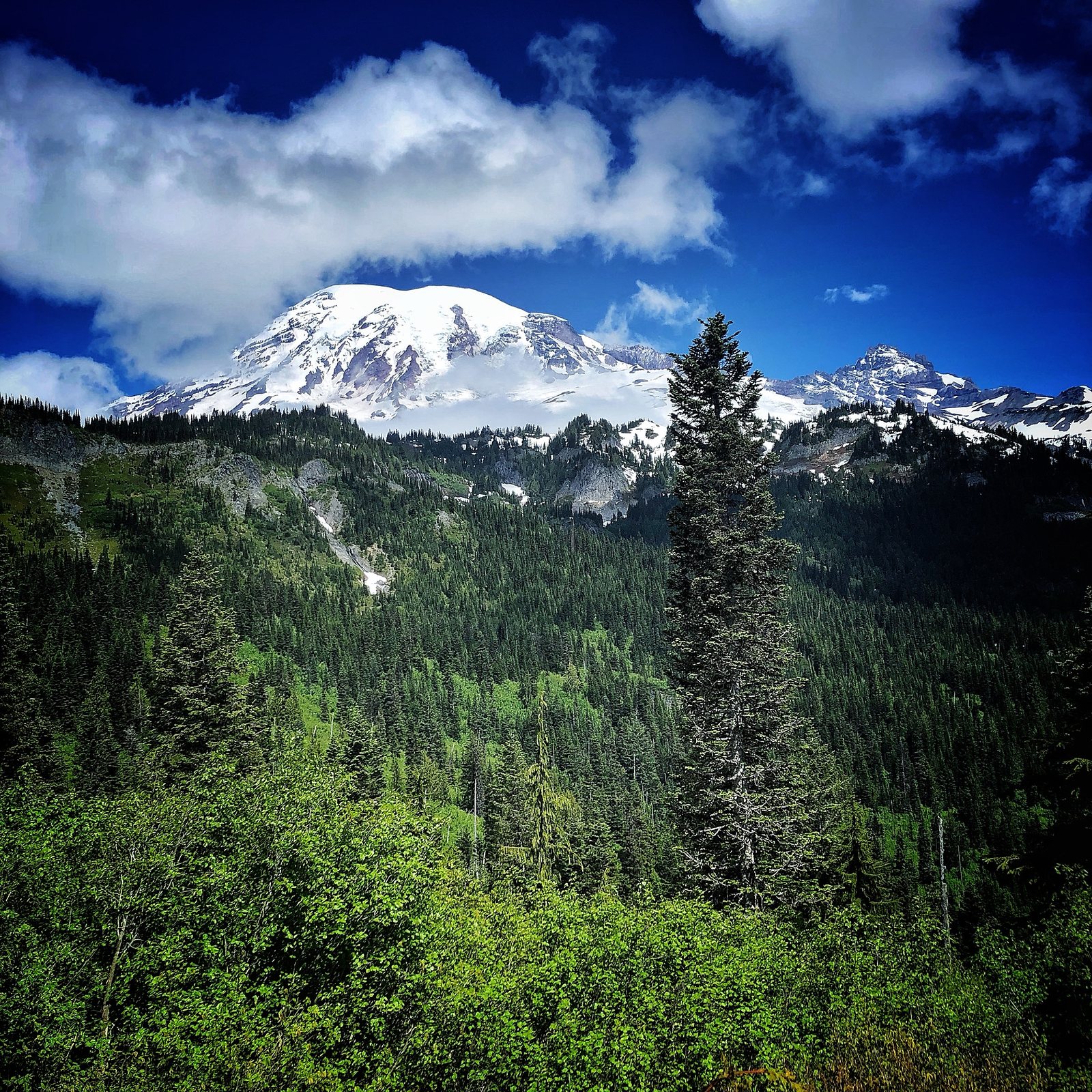 Why Patience Pays Off to Unlock the Best of the Pacific Northwest