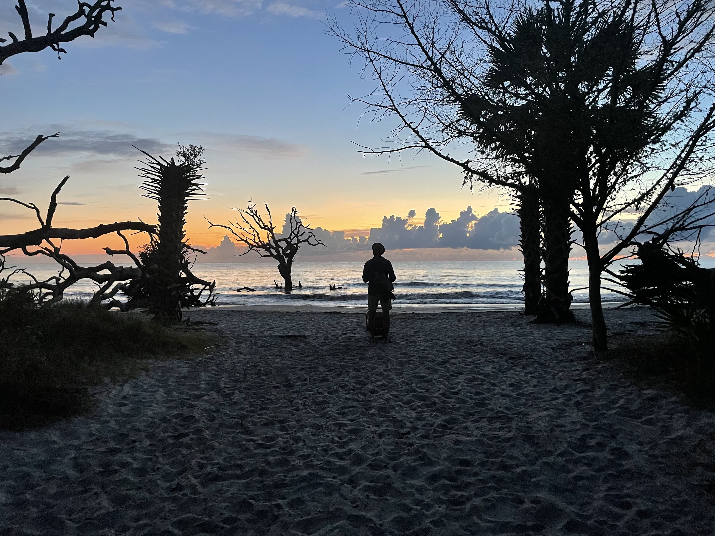 Driftwood Beach, Jekyll Island 