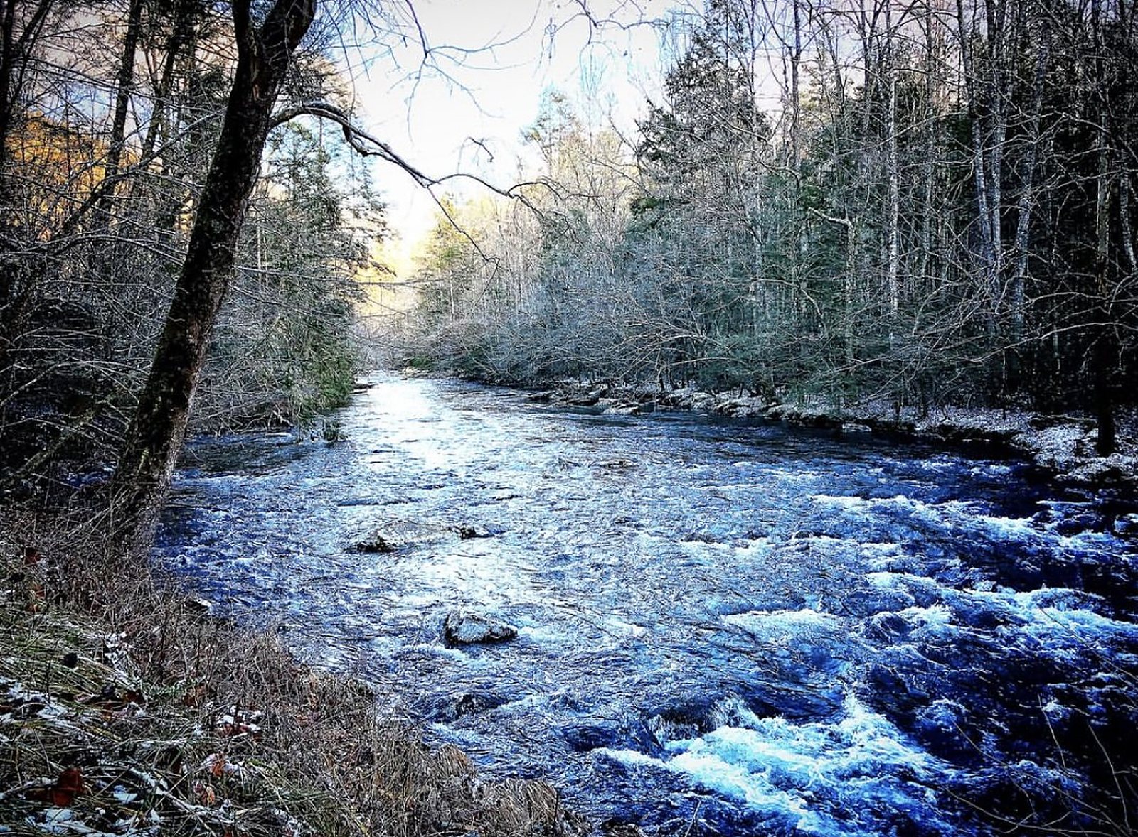 Great Smoky Mountains 