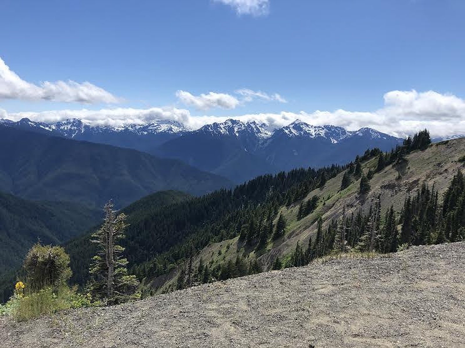 null Why Patience Pays Off to Unlock the Best of the Pacific Northwest, photo 12