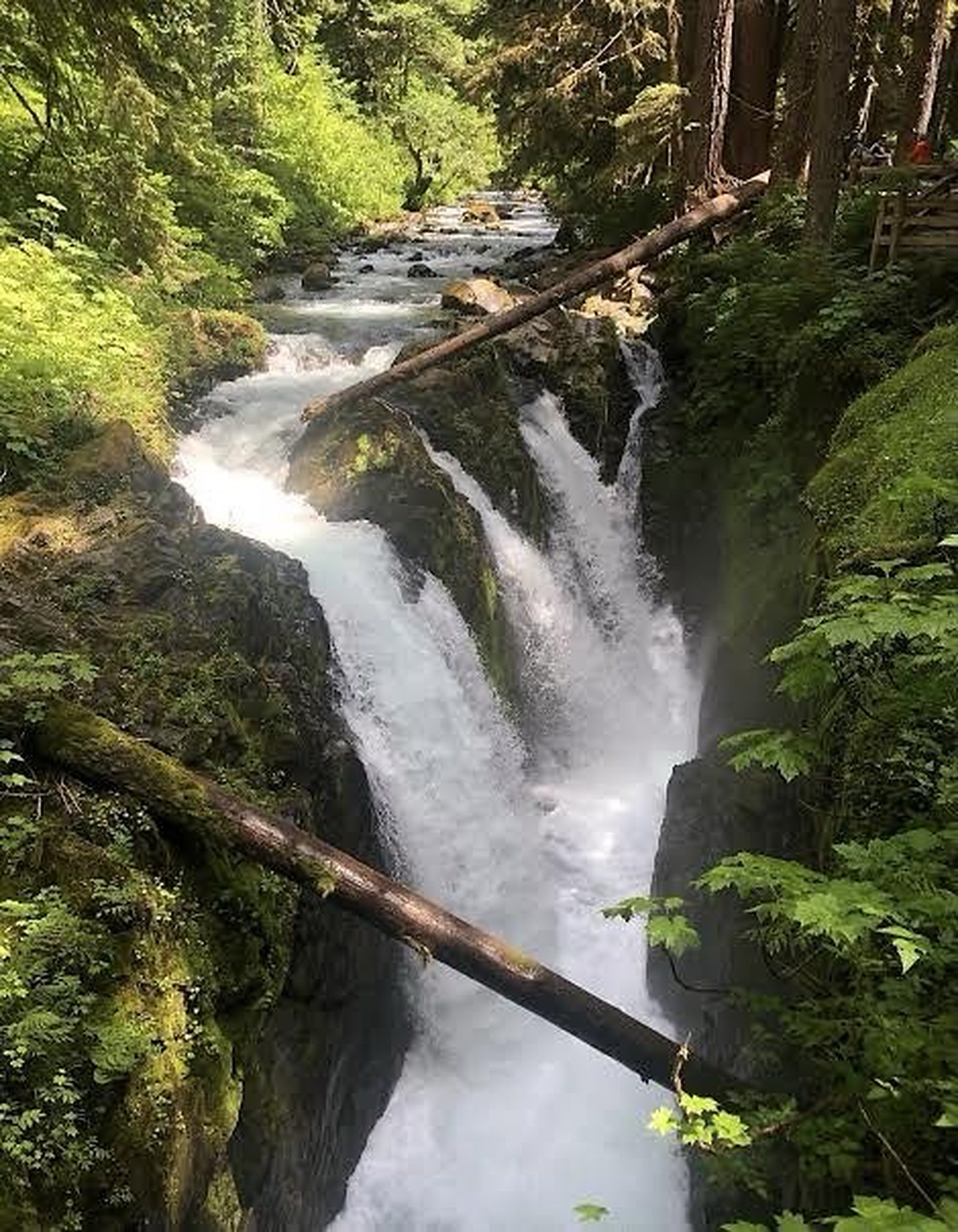 null Why Patience Pays Off to Unlock the Best of the Pacific Northwest, photo 15