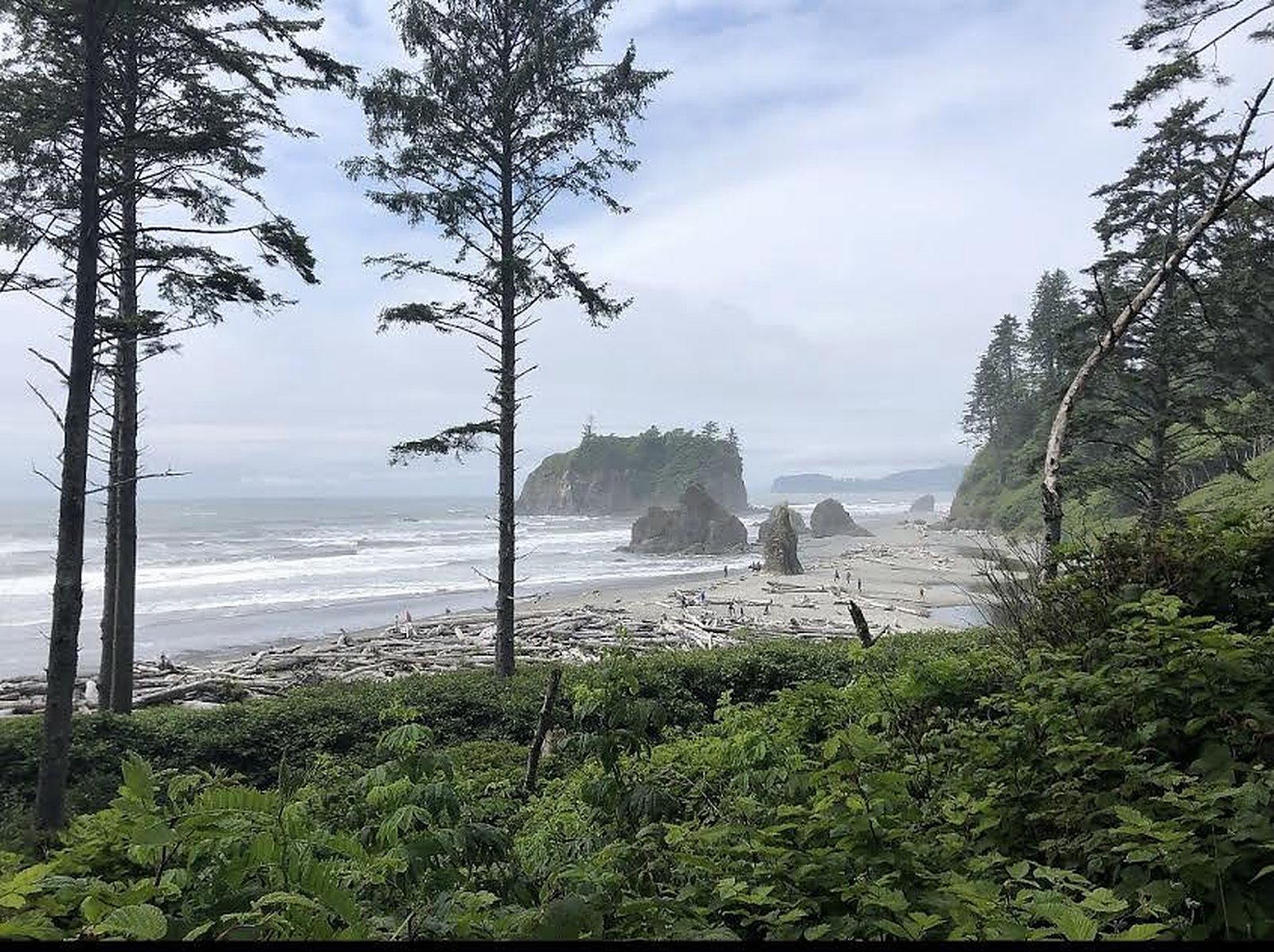 null Why Patience Pays Off to Unlock the Best of the Pacific Northwest, photo 19
