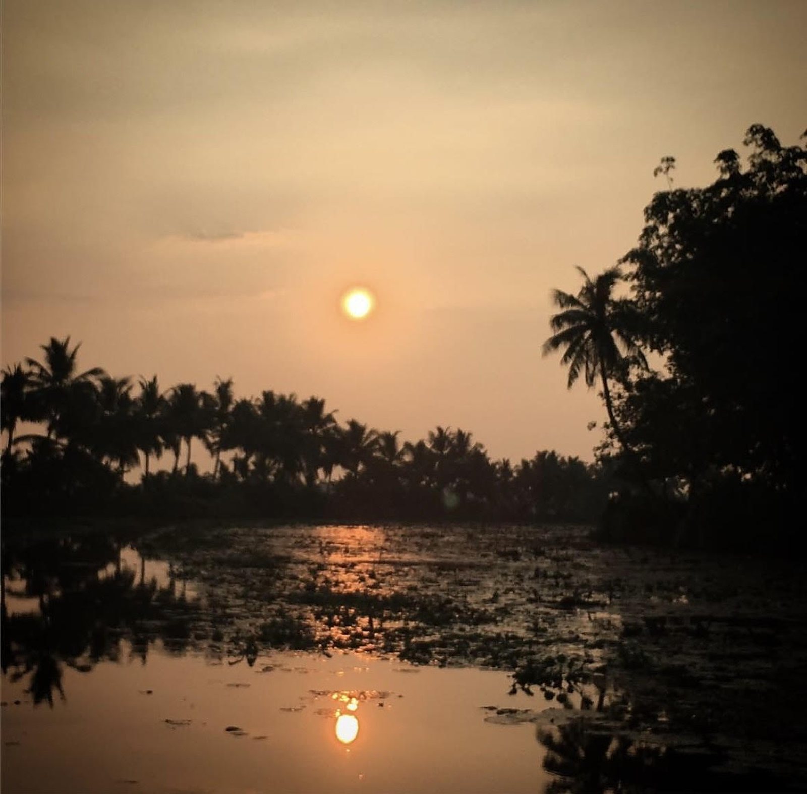 kerala backwaters India