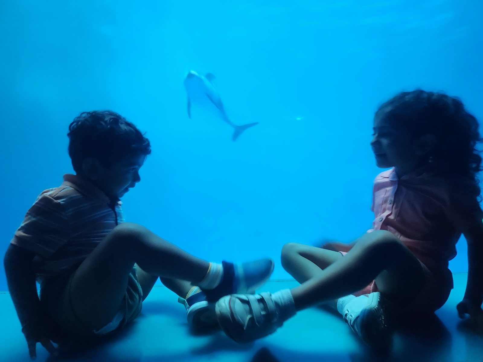 two kids in front of a glass window with a dolphin
