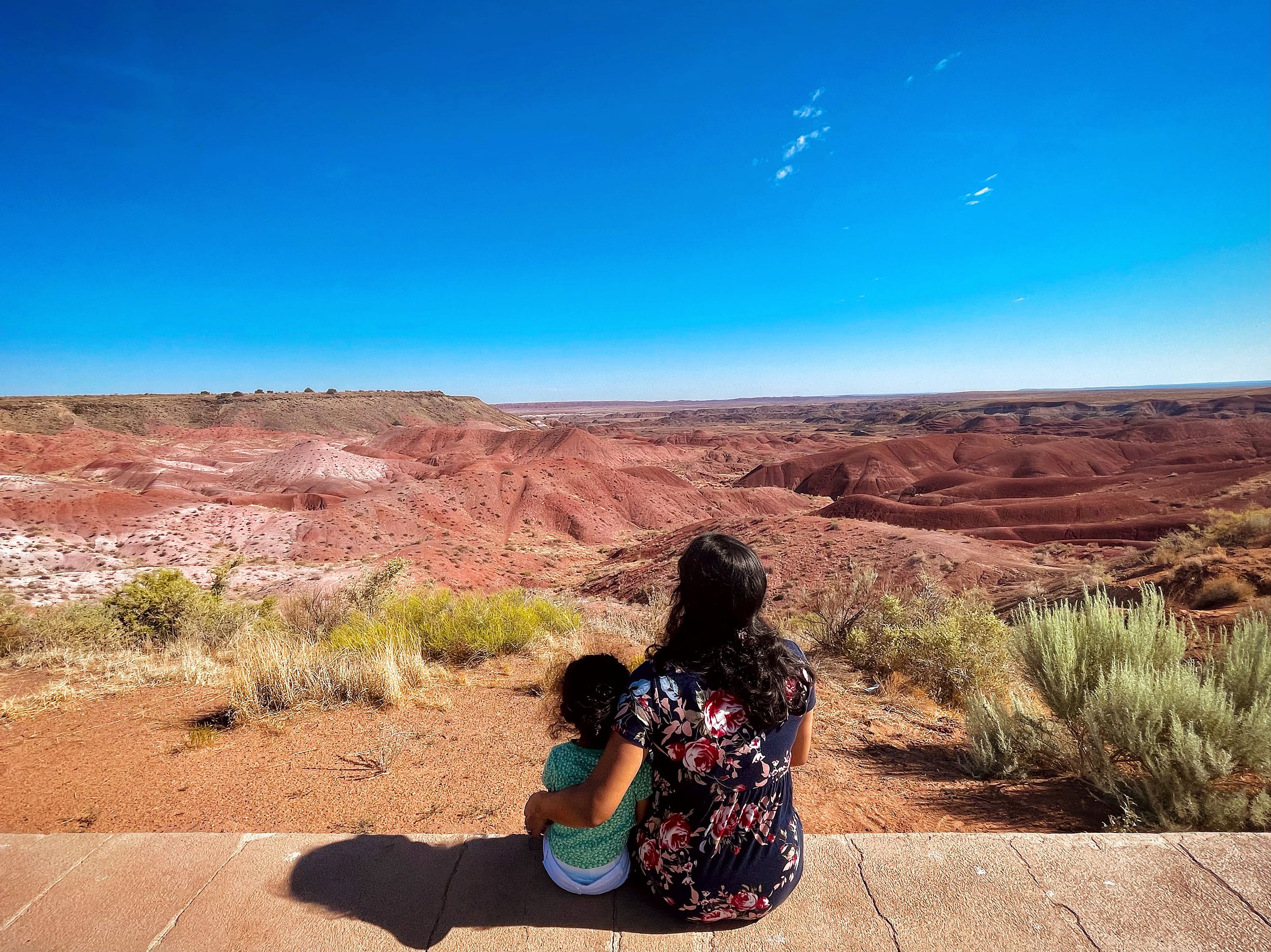 Painted Desert at Petrified National Forest