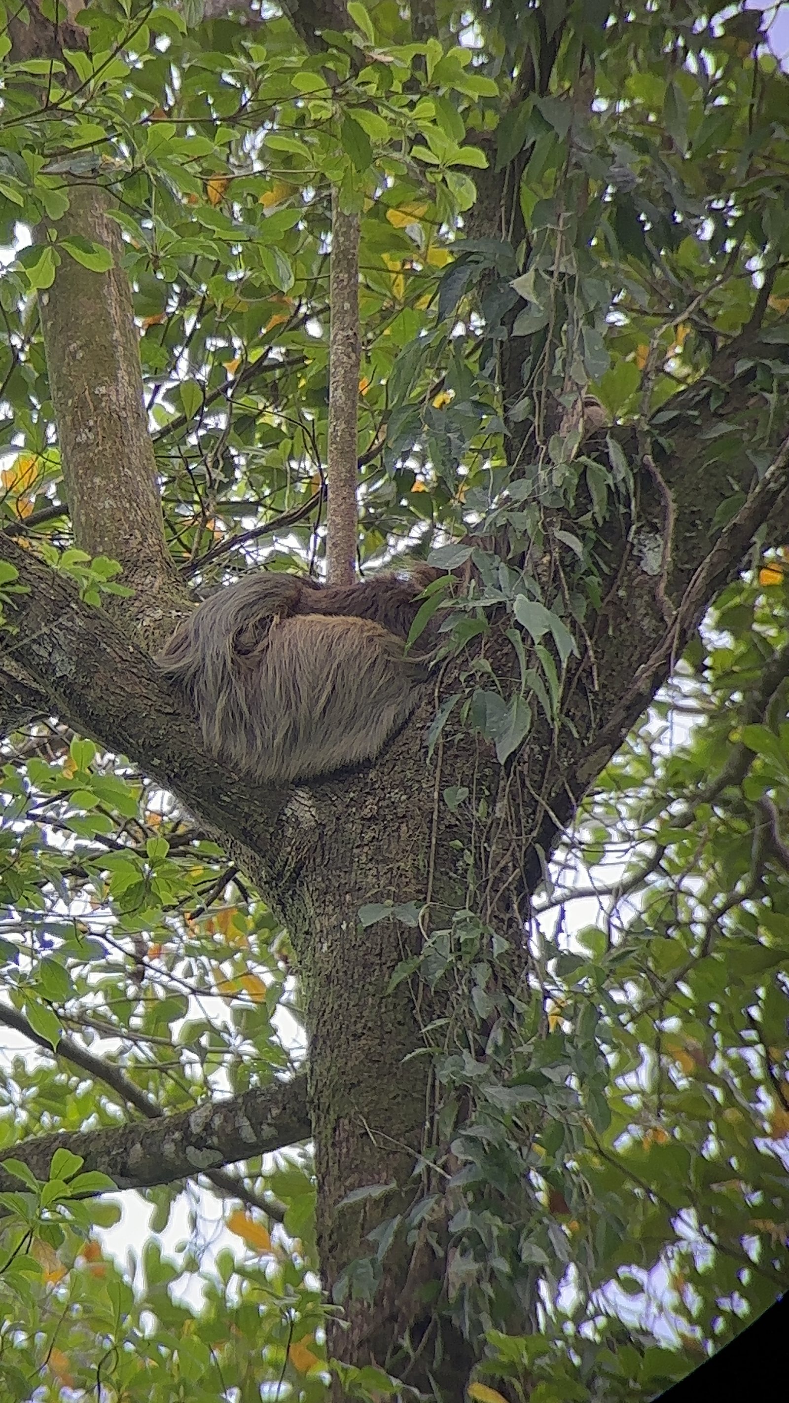 Embrace the Simple Life with a Long Weekend in Costa Rica, photo 12