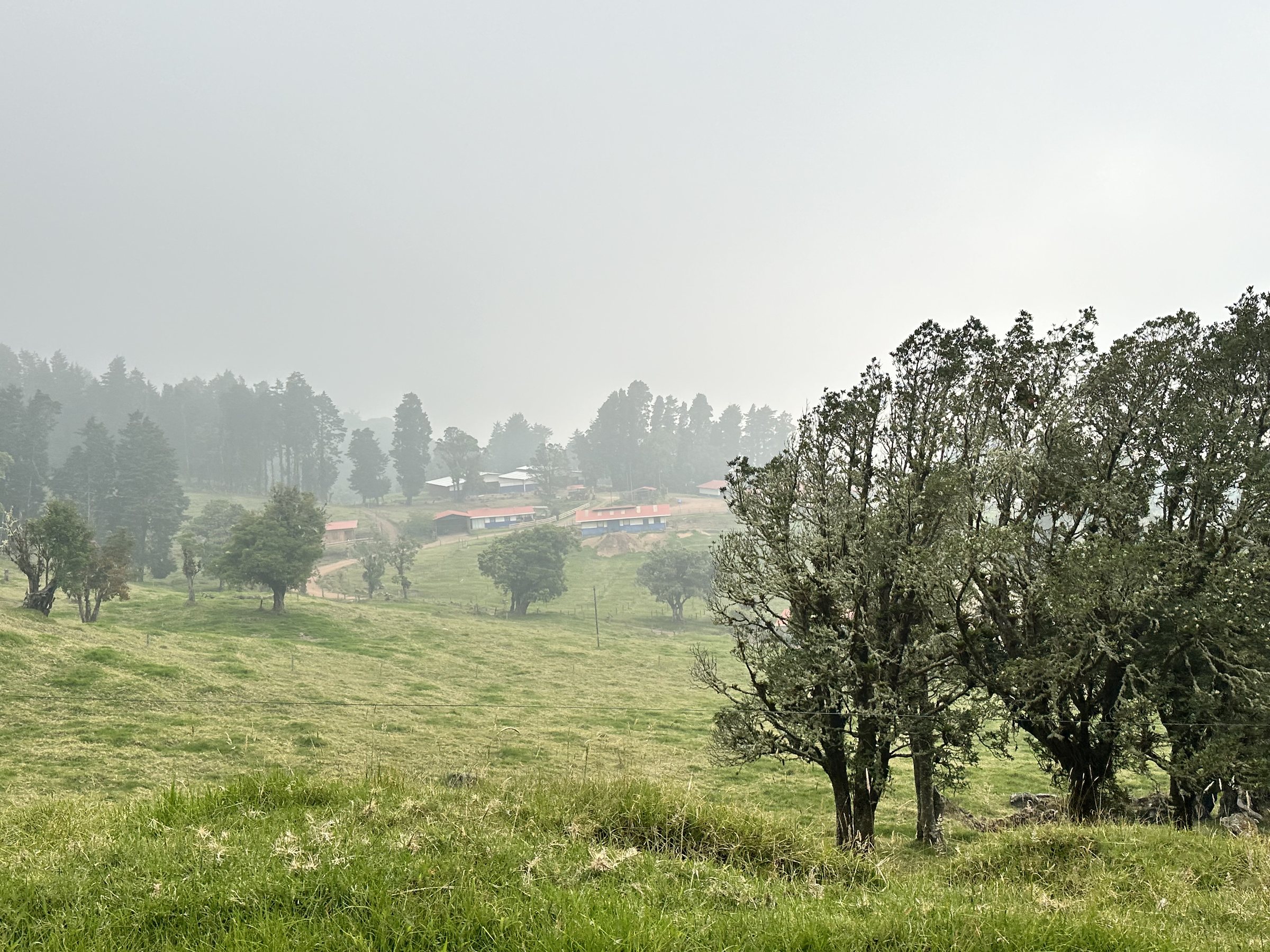 Embrace the Simple Life with a Long Weekend in Costa Rica, photo 4