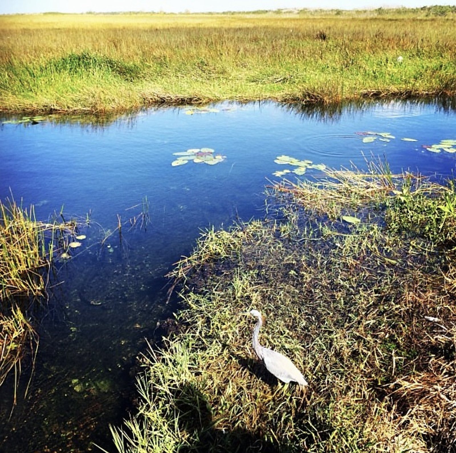 Everglades National Park