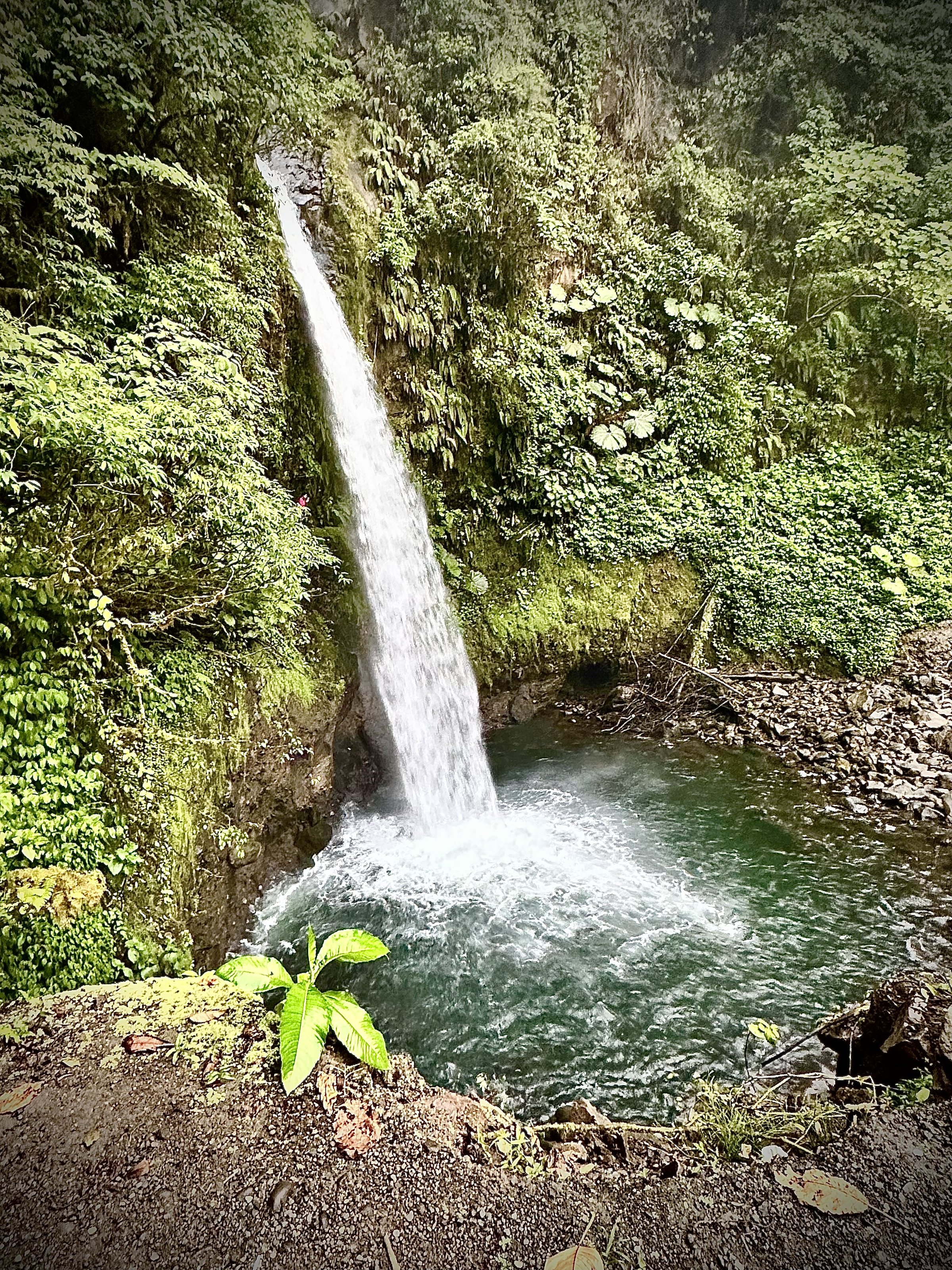 la paz waterfall aljuela costa rica