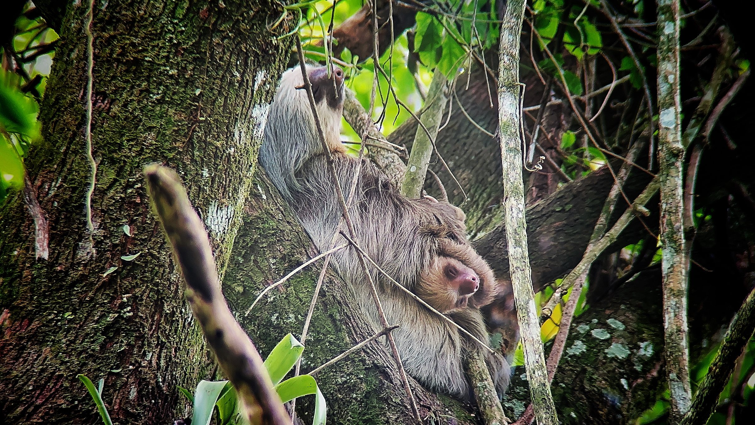 Embrace the Simple Life with a Long Weekend in Costa Rica, photo 13