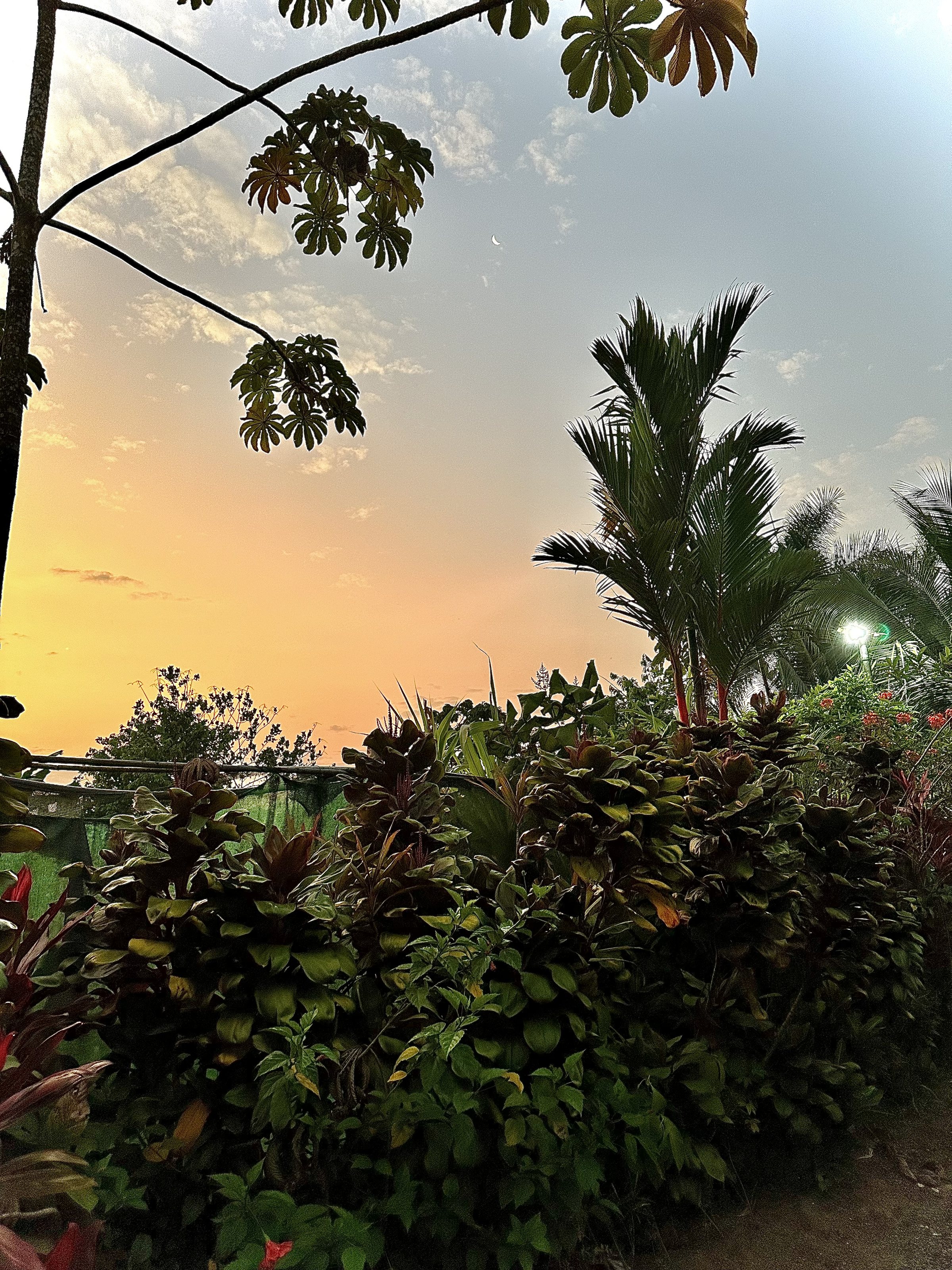 Aunty Arenal Lodge affordable accommodation near Arenal Costa Rica Alajuela La Fortuna