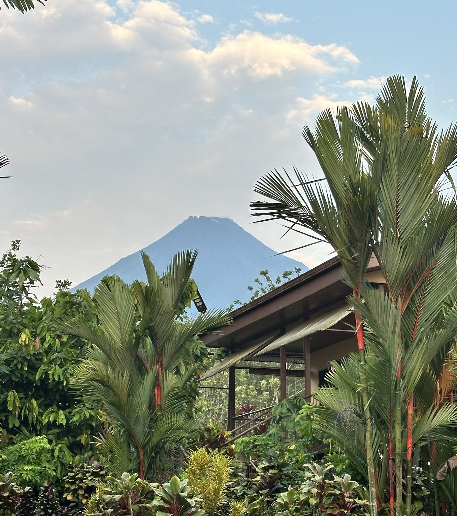 Morning view from the Aunty Arenal Lodge
