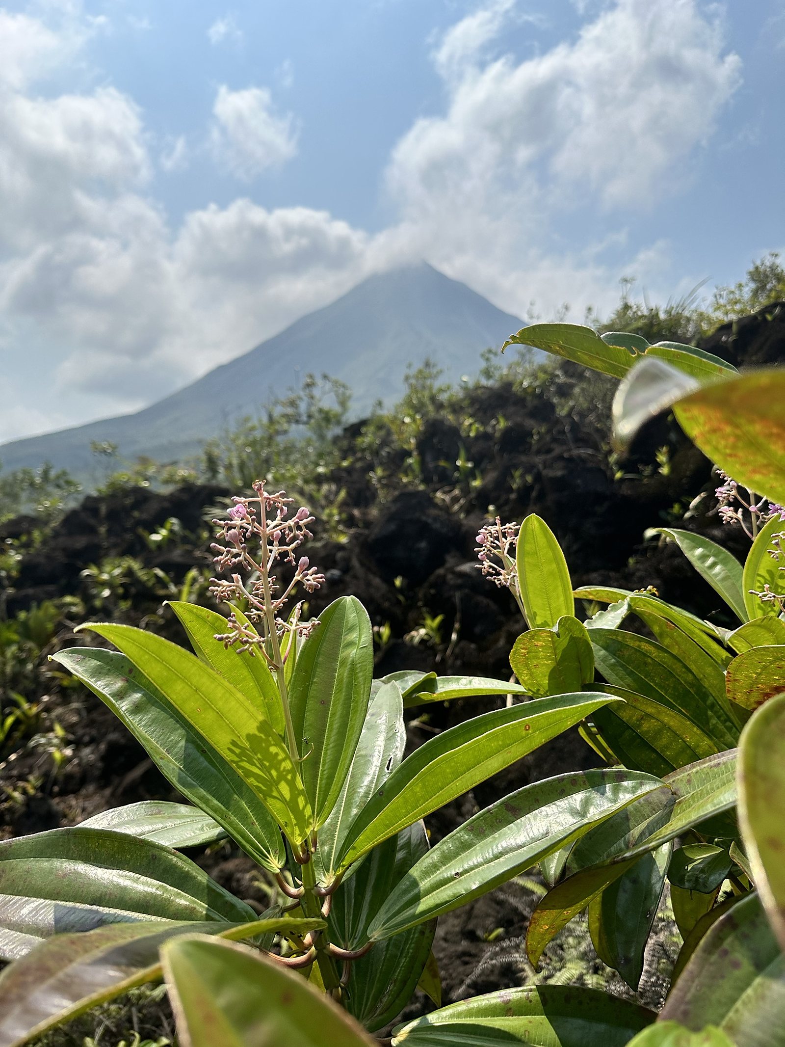 Embrace the Simple Life with a Long Weekend in Costa Rica