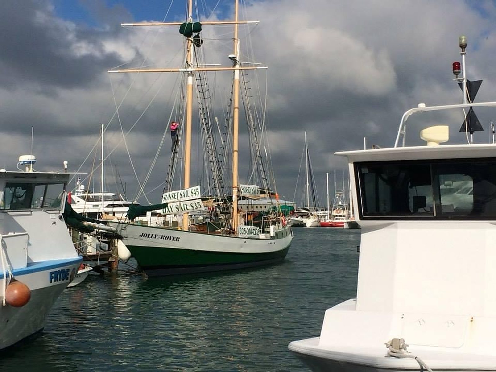 What I Learned About Gratitude Searching For Dolphins in Key West, photo 1