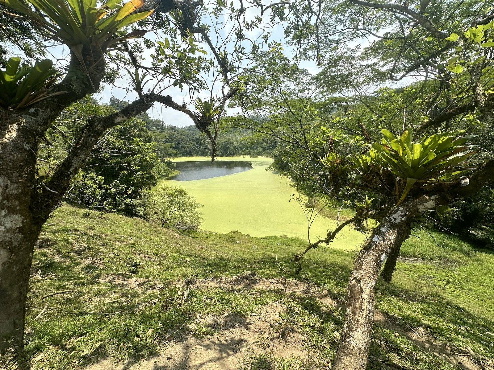 Green Lake