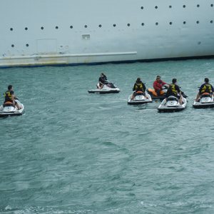 What I Learned About Gratitude Searching For Dolphins in Key West, photo 14