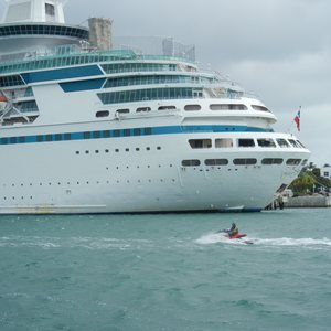 What I Learned About Gratitude Searching For Dolphins in Key West, photo 15
