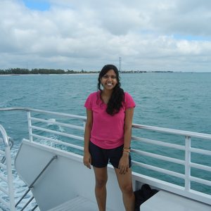 What I Learned About Gratitude Searching For Dolphins in Key West, photo 17