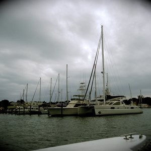 What I Learned About Gratitude Searching For Dolphins in Key West, photo 26