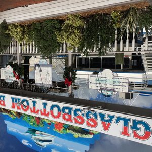 What I Learned About Gratitude Searching For Dolphins in Key West, photo 18